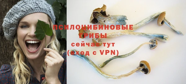 гидра Нягань