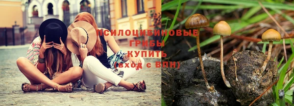синтетический гашиш Няндома