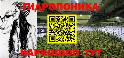 PSILOCYBIN Краснодар
