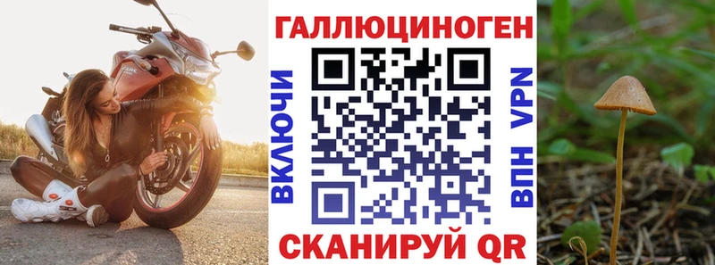 Галлюциногенные грибы Cubensis  Кудымкар 