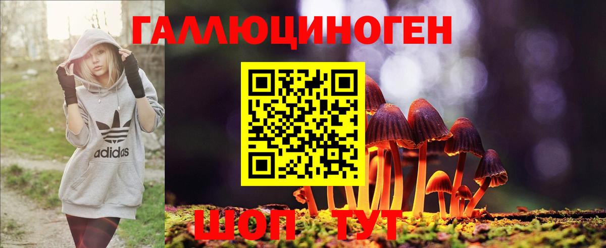 Кудымкар  Галлюциногенные грибы GOLDEN TEACHER  Вход с VPN 