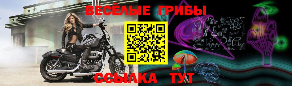 МЕТАДОН Кудымкар